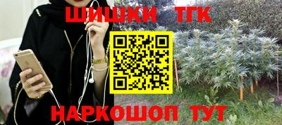 дурь Гусев